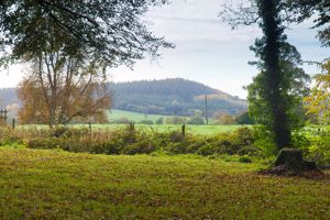 View- click for photo gallery